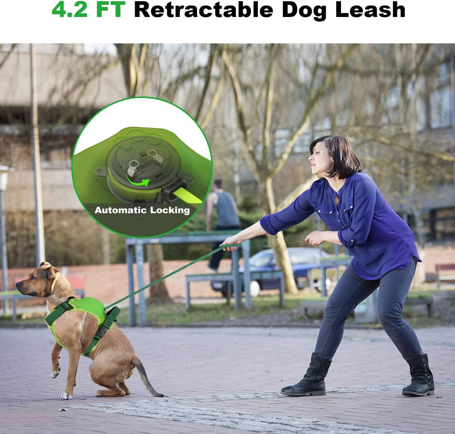 Retractable Leash and Harness