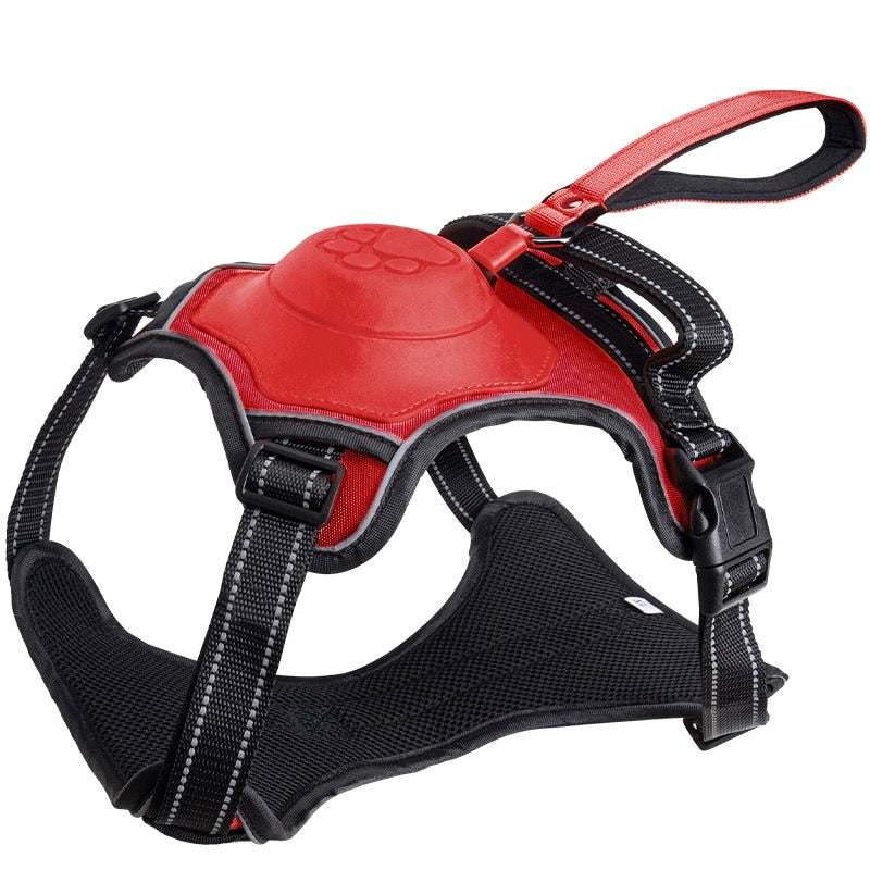 Retractable Leash and Harness