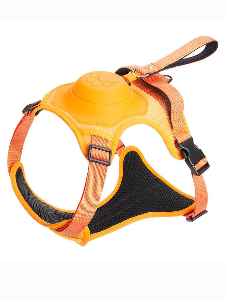 Retractable Leash and Harness