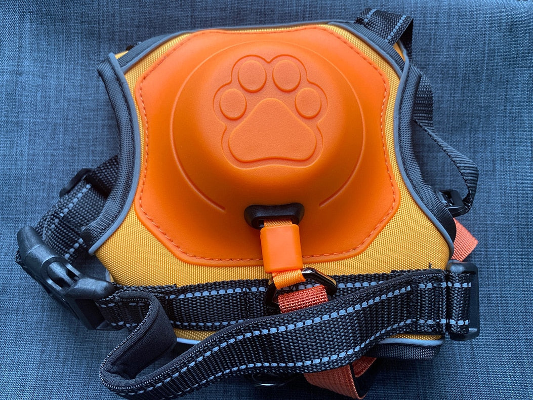 Retractable Leash and Harness
