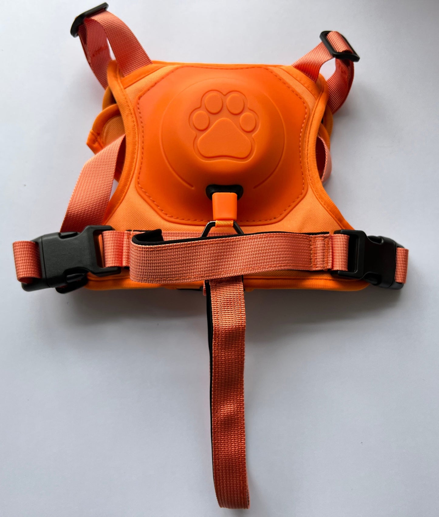 Retractable Leash and Harness