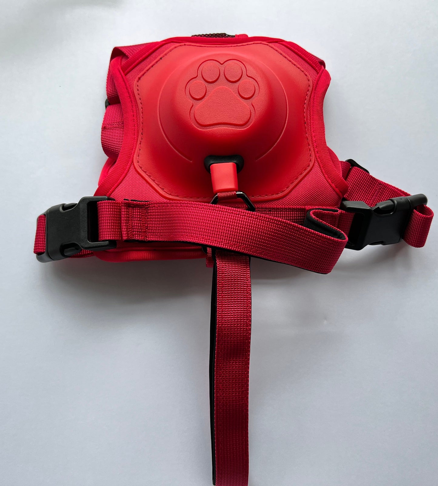 Retractable Leash and Harness