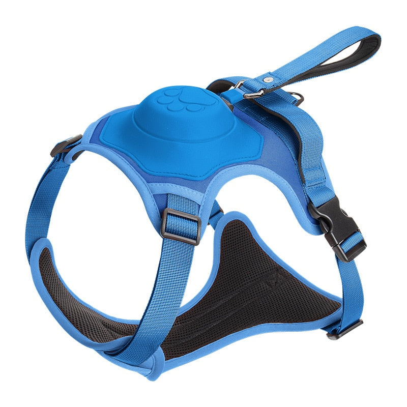 Retractable Leash and Harness