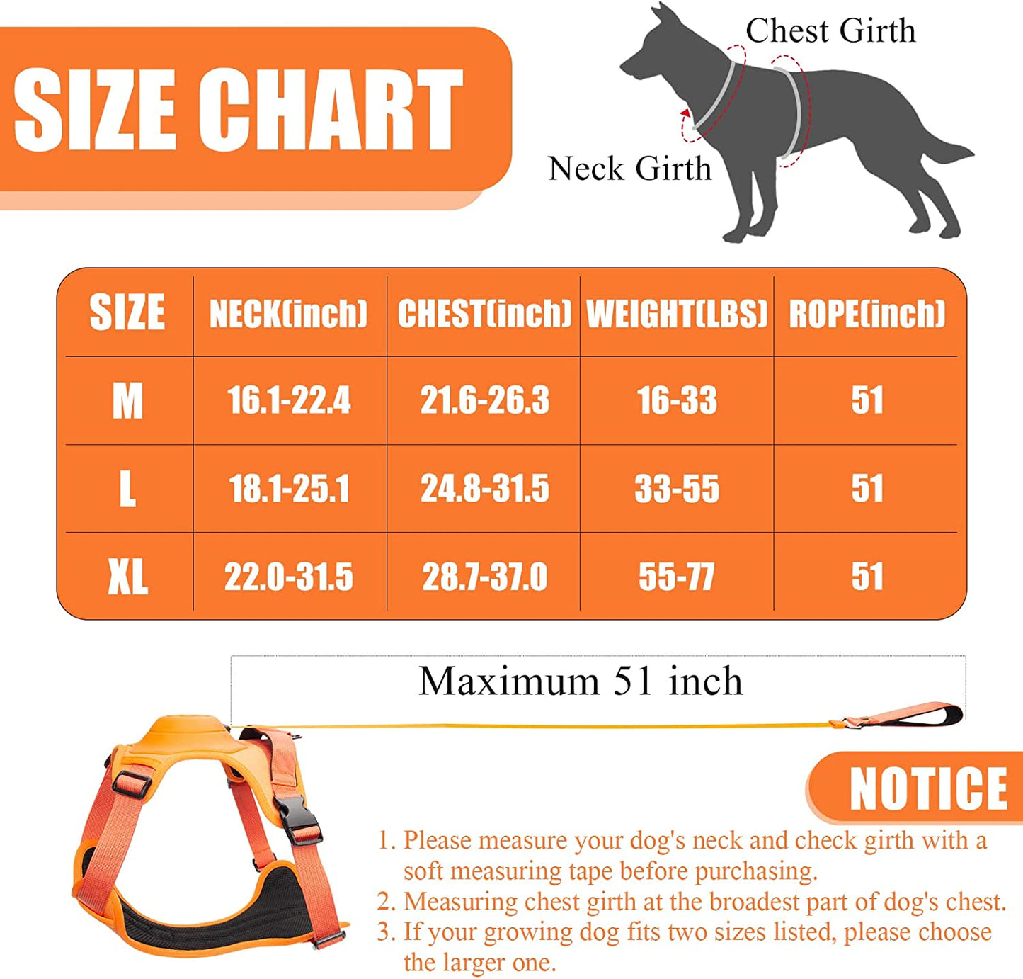 Retractable Leash and Harness