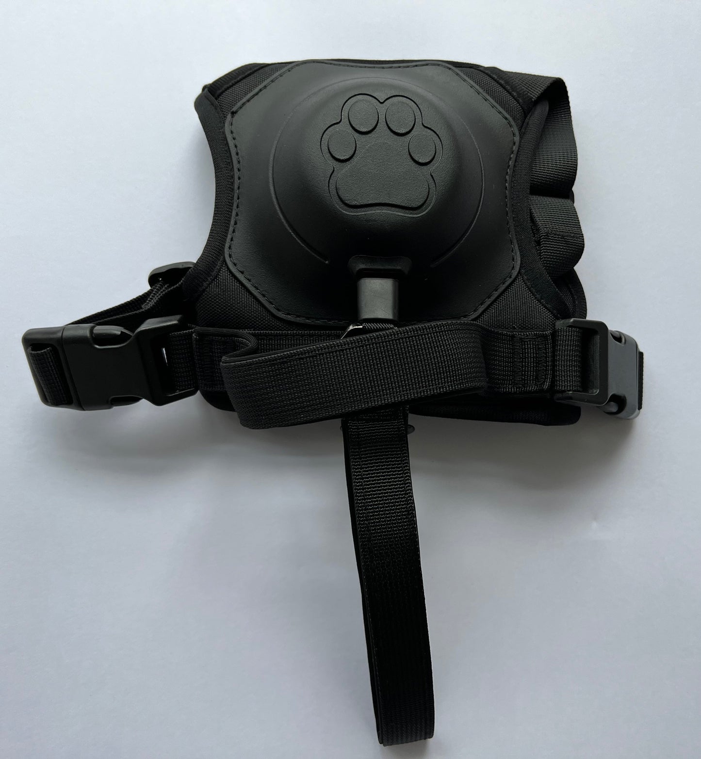 Retractable Leash and Harness