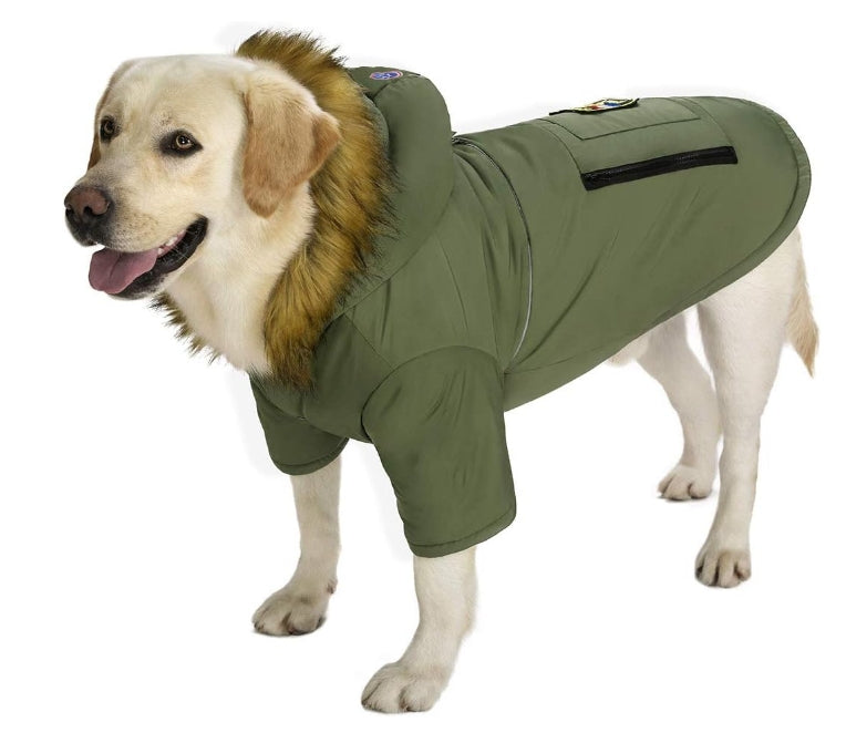 Dogs' Hoodie