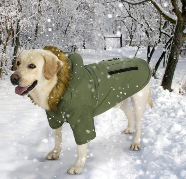 Dogs' Hoodie