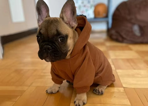 Dogs' Hoodie