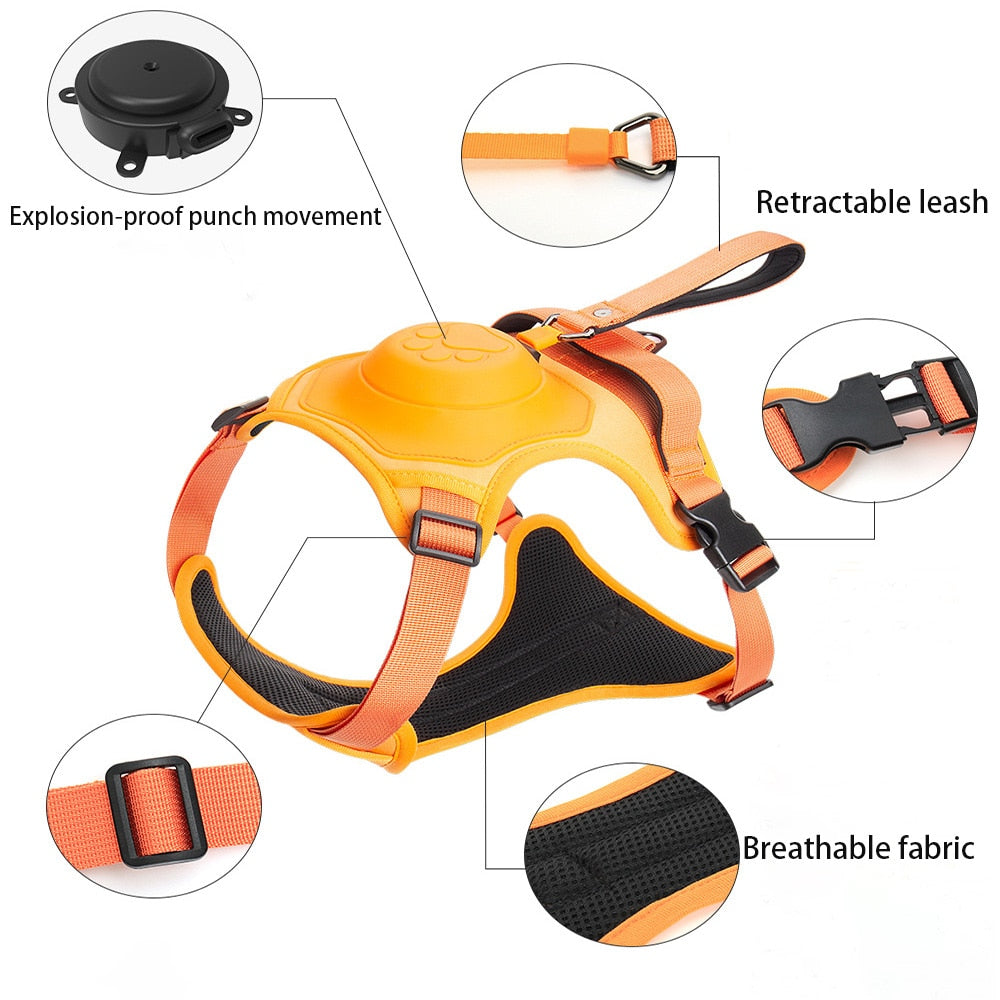 Retractable Leash and Harness