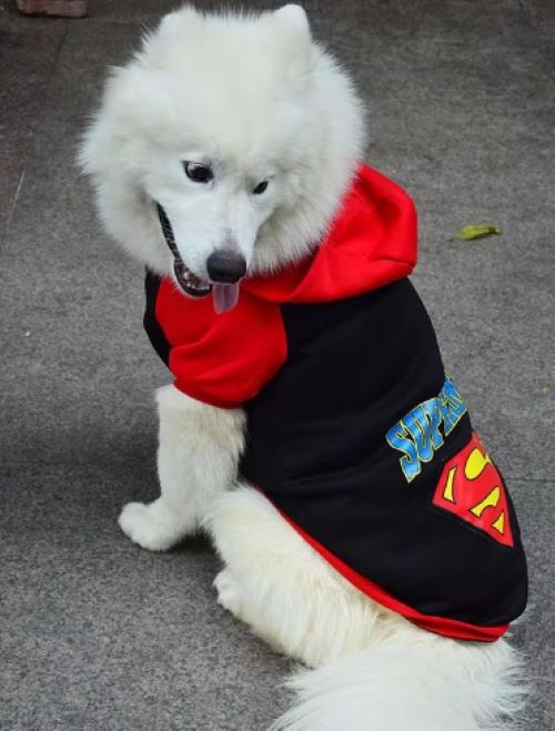 Dogs' Hoodie