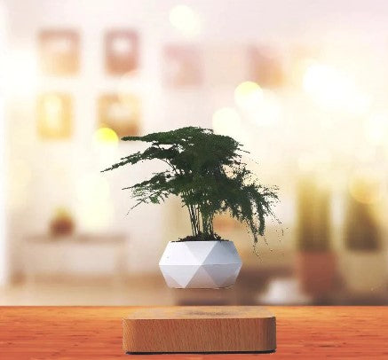 Floating Plant Pot