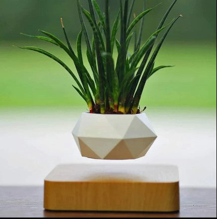 Floating Plant Pot