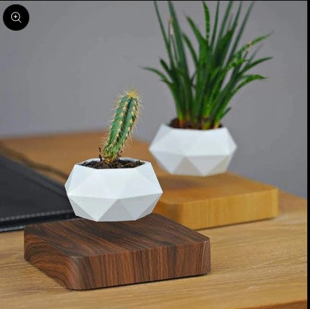 Floating Plant Pot