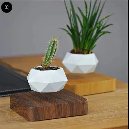 Floating Plant Pot - odusly.com