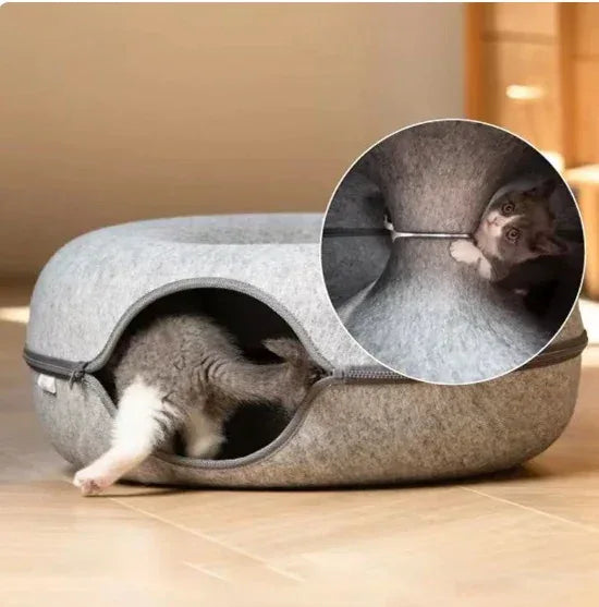 Cat Cave - odusly.com