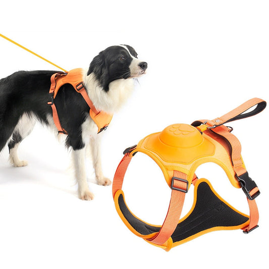 Retractable Leash and Harness