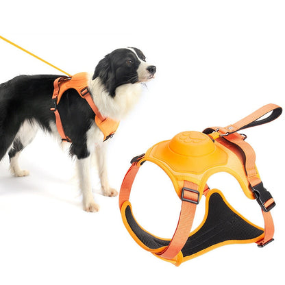 Retractable Leash and Harness