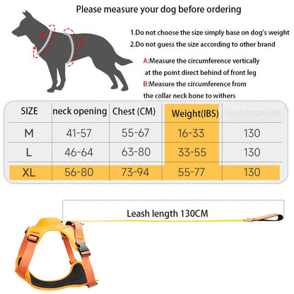 Retractable Leash and Harness