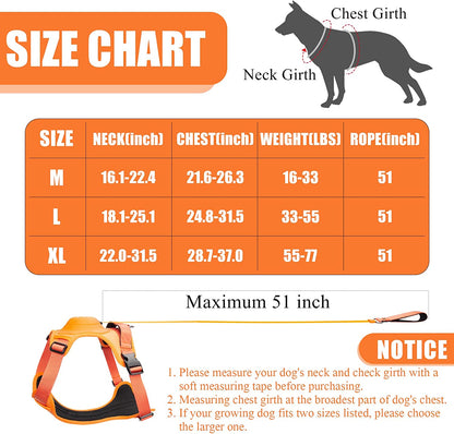 Retractable Leash and Harness