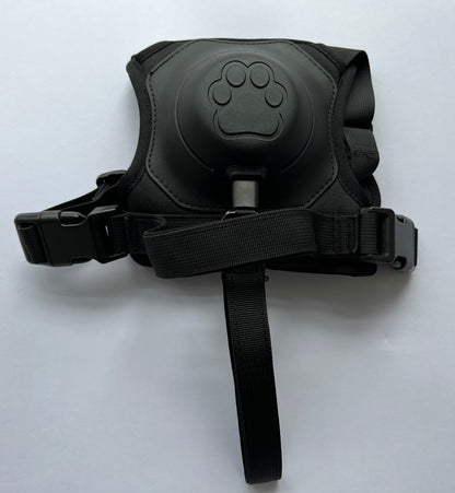Retractable Leash and Harness