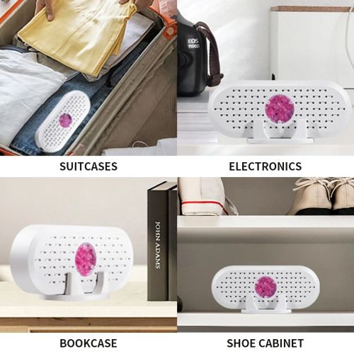 DryGuard Mini Dehumidifier