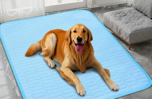 CoolEase Dog Mat