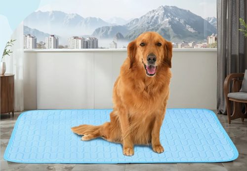 CoolEase Dog Mat