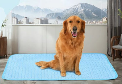 CoolEase Dog Mat