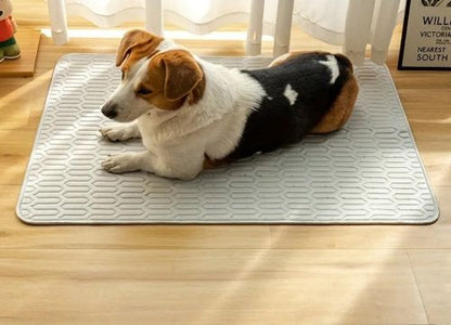 CoolEase Dog Mat