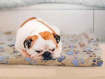 Calming Dog Blanket