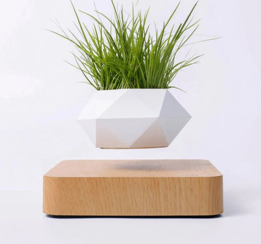 Floating Plant Pot