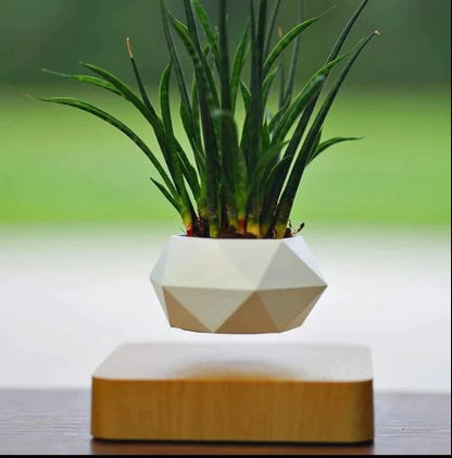 Floating Plant Pot